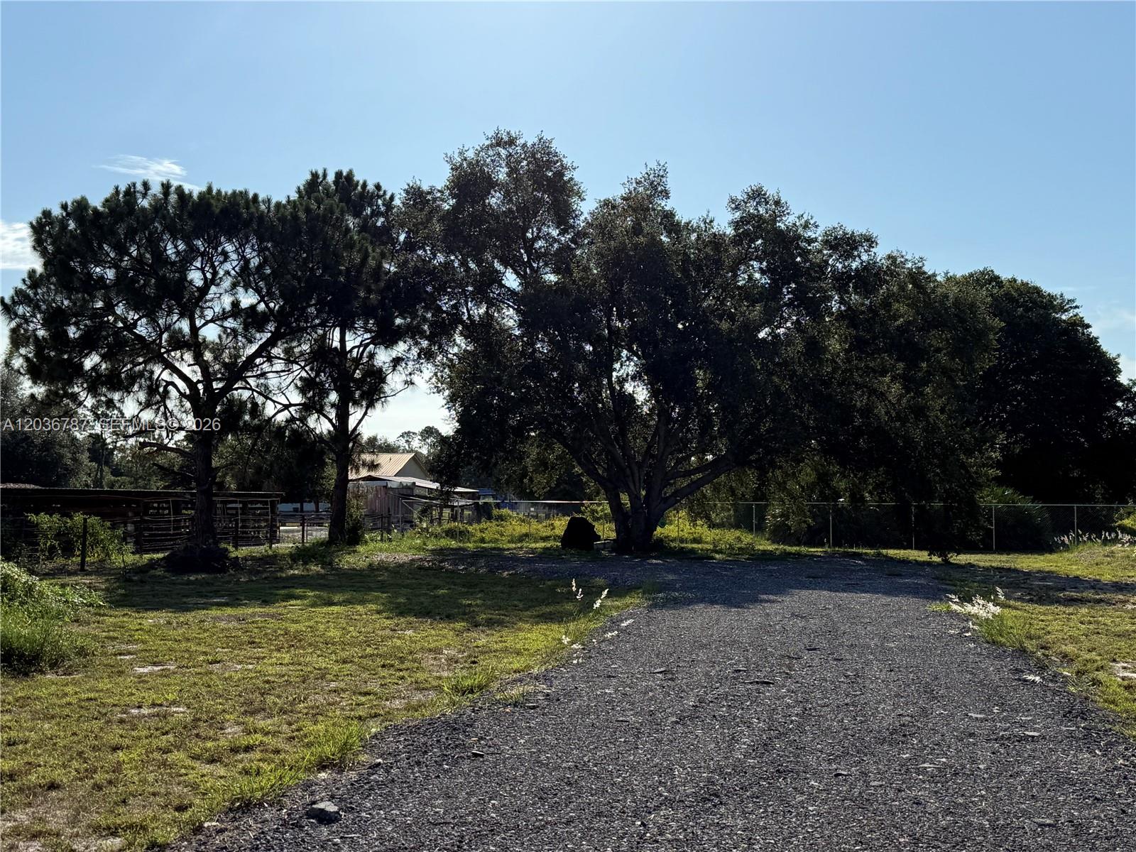 A gravel driveway leads toward large trees and a small building on a grassy lot — 575 S JINETE ST, Clewiston FL 33440, CLEWISTON, FL
