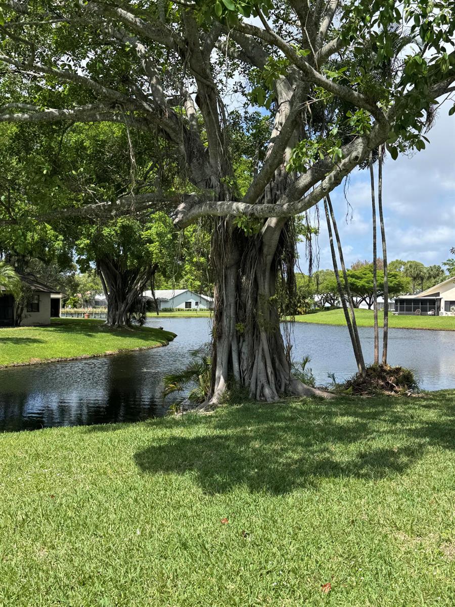 A large banyan tree stands on a grassy lawn beside a calm residential pond — 16843 Boca Delray Drive, Delray Beach FL 33484, DELRAY BEACH, FL