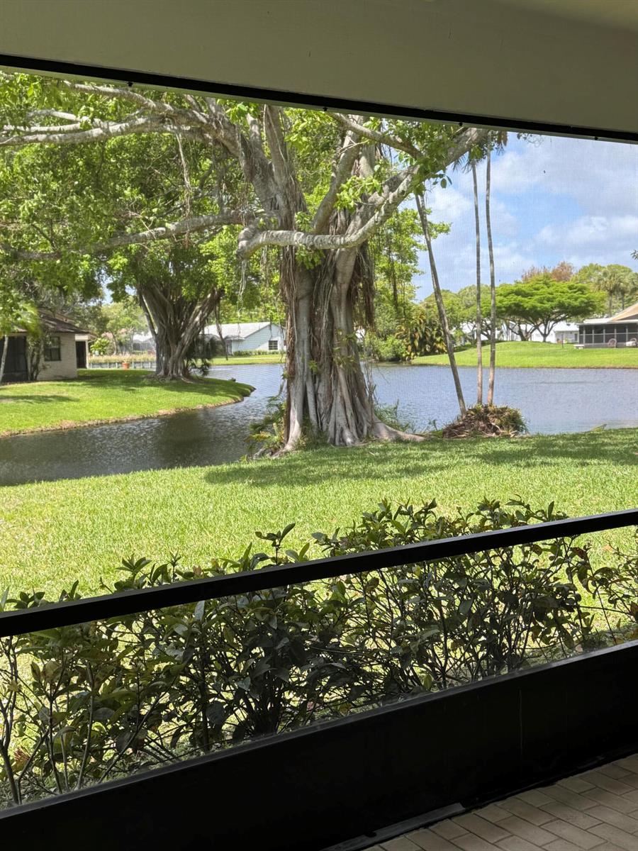 A view of a lake and large trees from a screened-in patio — 16843 Boca Delray Drive, Delray Beach FL 33484, DELRAY BEACH, FL