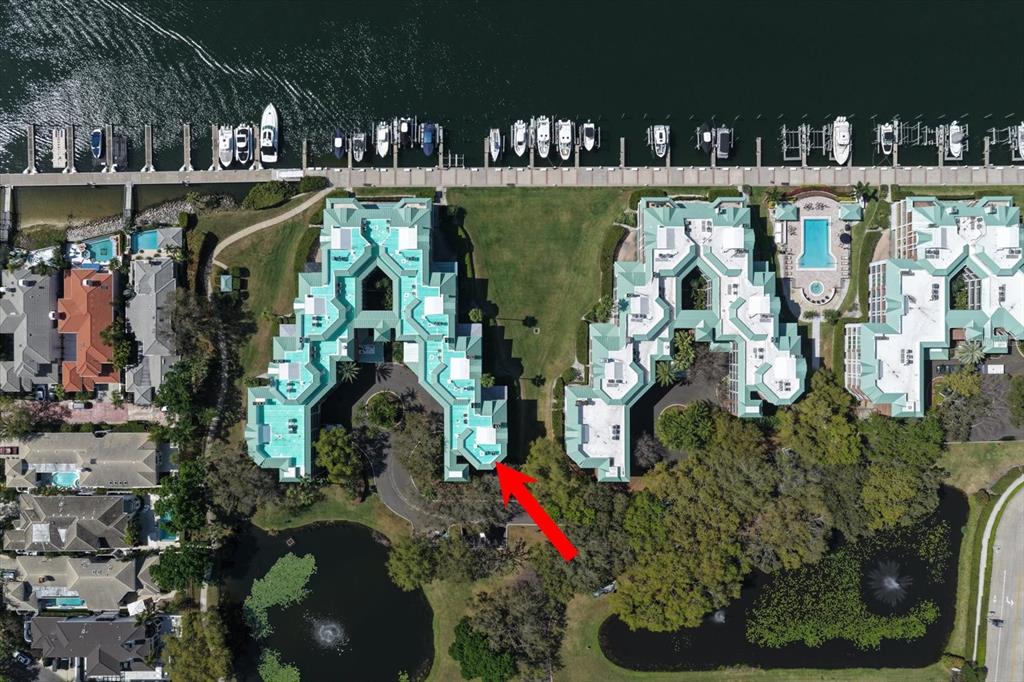 An aerial view shows two large residential buildings with green roofs next to a marina — 947 SEDDON COVE WAY UNIT 947, TAMPA, FL