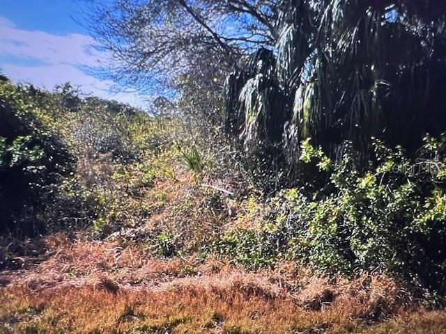 A view of a densely wooded lot with various trees, shrubs, and dry ground cover — LOT 67 HARCOURT CIRCLE, NORTH PORT, FL