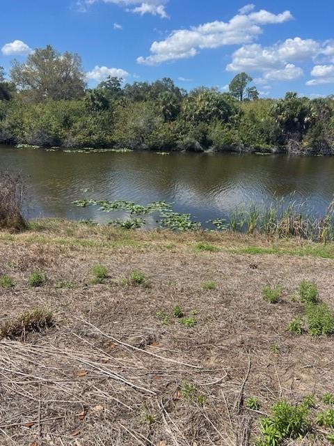 A view of a pond with lily pads and a wooded shoreline under a sky — LOT 67 HARCOURT CIRCLE, NORTH PORT, FL