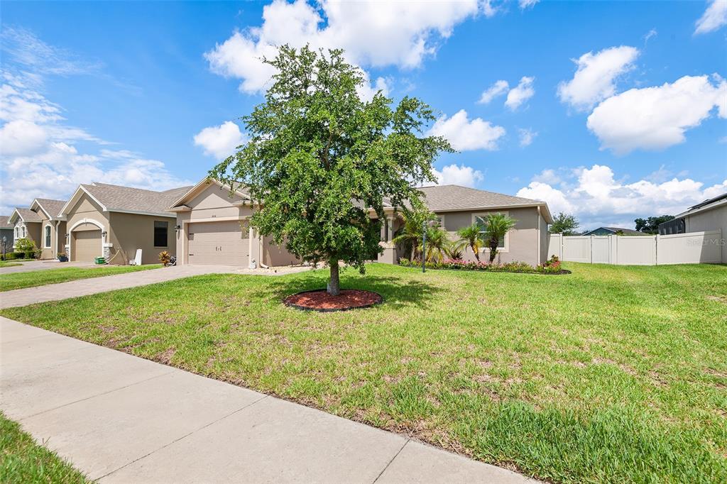 A single-story suburban house with a tan exterior, a front lawn, and a large tree — 444 LAKE VIEW WAY, AUBURNDALE, FL