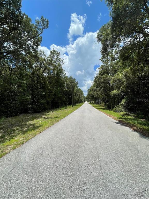 A paved road stretches into the distance between dense trees under a blue sky — TBD SW 59TH LANE, DUNNELLON, FL