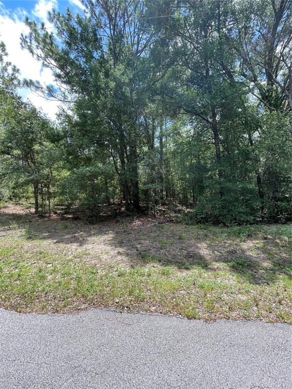 A view of a wooded, undeveloped residential lot from the edge of an asphalt road — TBD SW 59TH LANE, DUNNELLON, FL