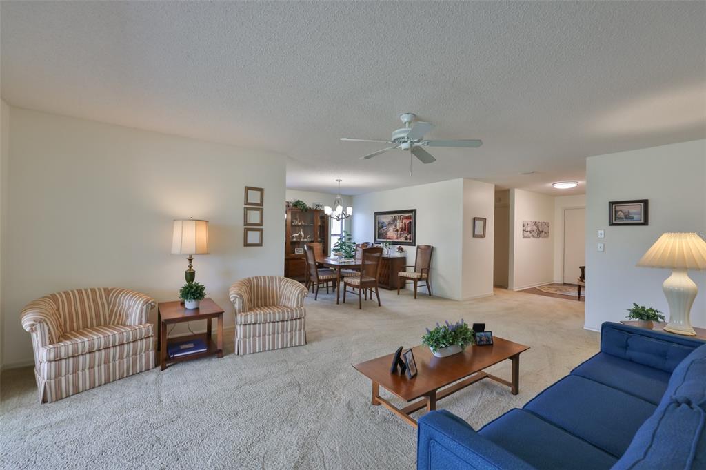 A living room and dining area with beige carpeting, neutral walls, and traditional furniture — 2417 LANCASTER DRIVE, SUN CITY CENTER, FL