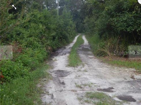 A narrow, unpaved dirt road winds through a dense, wooded area with overgrown vegetation — MARYLAND STREET, PAISLEY, FL