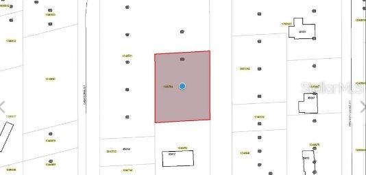 This is a property map showing a highlighted rectangular lot among surrounding parcels of land — MARYLAND STREET, PAISLEY, FL