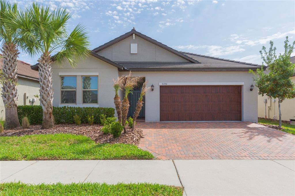 A single-story house with a paved driveway, a two-car garage, and palm trees in front — 31726 CABANA RYE AVENUE, SAN ANTONIO, FL