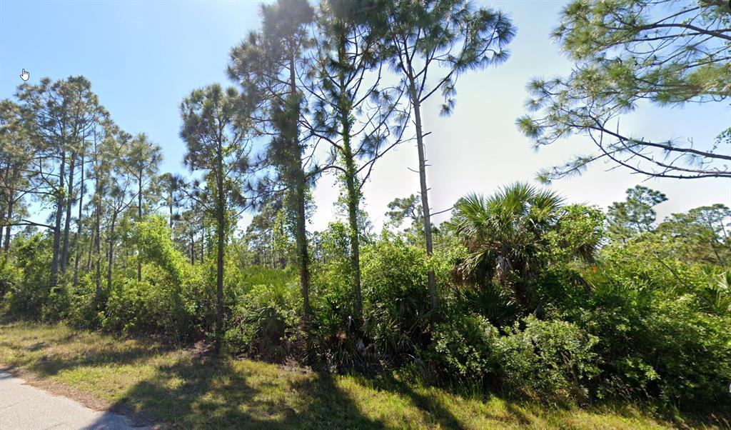 A wooded lot with tall pine trees and dense undergrowth borders a paved road — 3143 DWYER STREET, PORT CHARLOTTE, FL