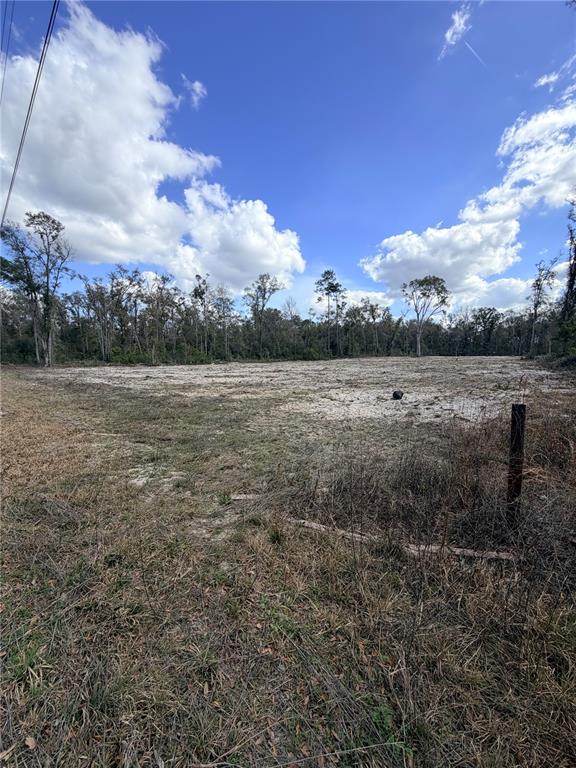 A cleared, sandy lot with sparse vegetation is bordered by a line of trees — 163 NE 159TH AVENUE, OLD TOWN, FL