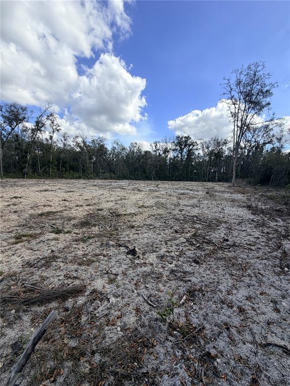 A large, cleared, sandy lot is bordered by a dense line of trees — 163 NE 159TH AVENUE, OLD TOWN, FL