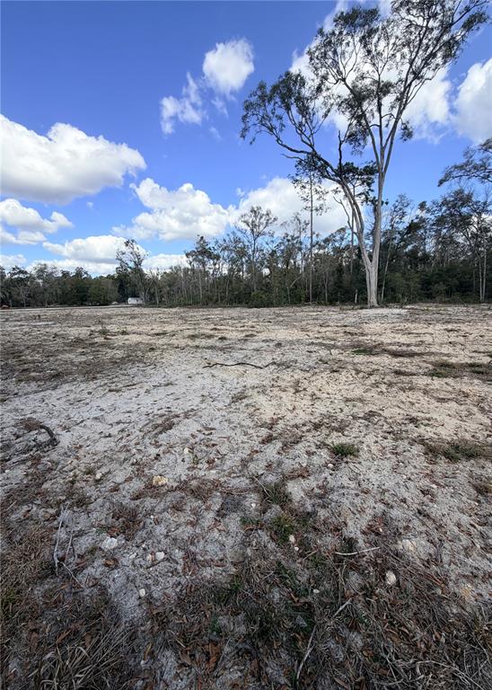 A wide, cleared sandy lot features scattered debris and a line of trees in back — 163 NE 159TH AVENUE, OLD TOWN, FL