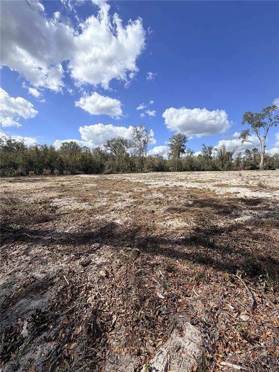 A large, cleared, sandy lot features scattered debris and a line of trees in the background — 163 NE 159TH AVENUE, OLD TOWN, FL