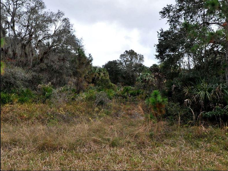 A view of a wooded, undeveloped lot with tall grass, shrubs, and mature trees — DELMAR DRIVE, NORTH PORT, FL