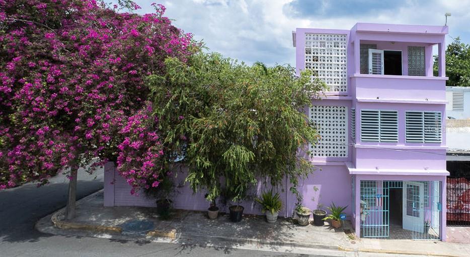 A three-story lavender building stands next to a large tree with vibrant pink flowers — 393 CALLE JOSE SUEIRO, VIEQUES, PR