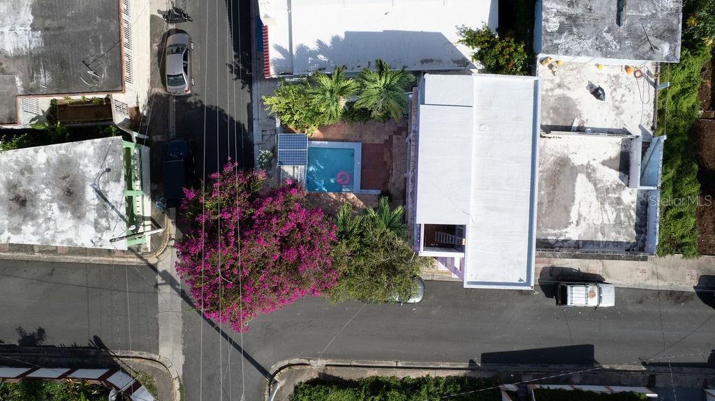 An aerial view shows a house with a swimming pool, a large flowering tree, and vehicles — 393 CALLE JOSE SUEIRO, VIEQUES, PR