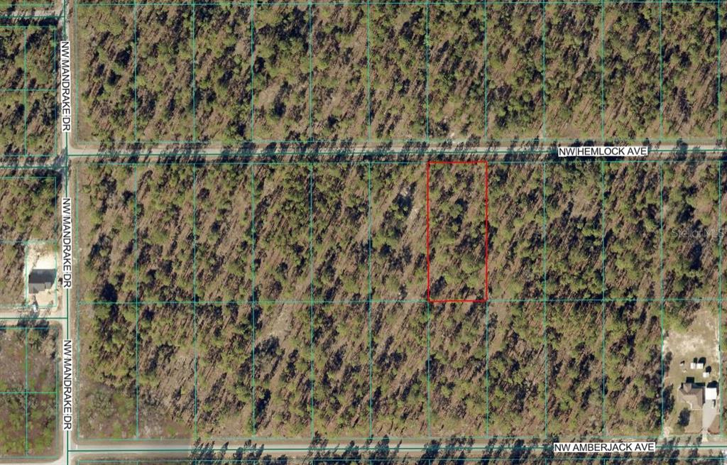 An aerial map view shows a rectangular plot of land highlighted in red among trees — Lot 7 NW HEMLOCK AVENUE, DUNNELLON, FL
