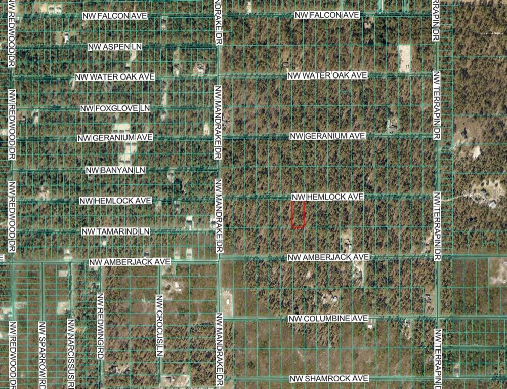 This is a satellite map showing a highlighted rectangular land parcel among wooded residential streets — Lot 7 NW HEMLOCK AVENUE, DUNNELLON, FL