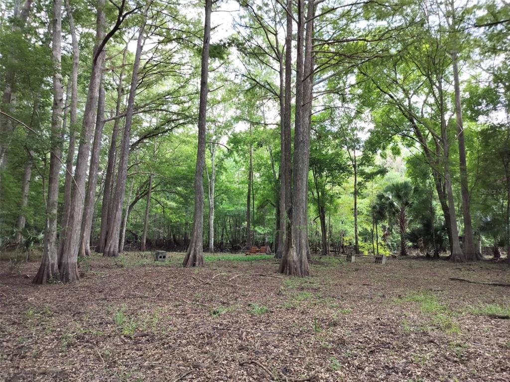 523 S TUCK POINT, INVERNESS, FL — photo 4 of 28