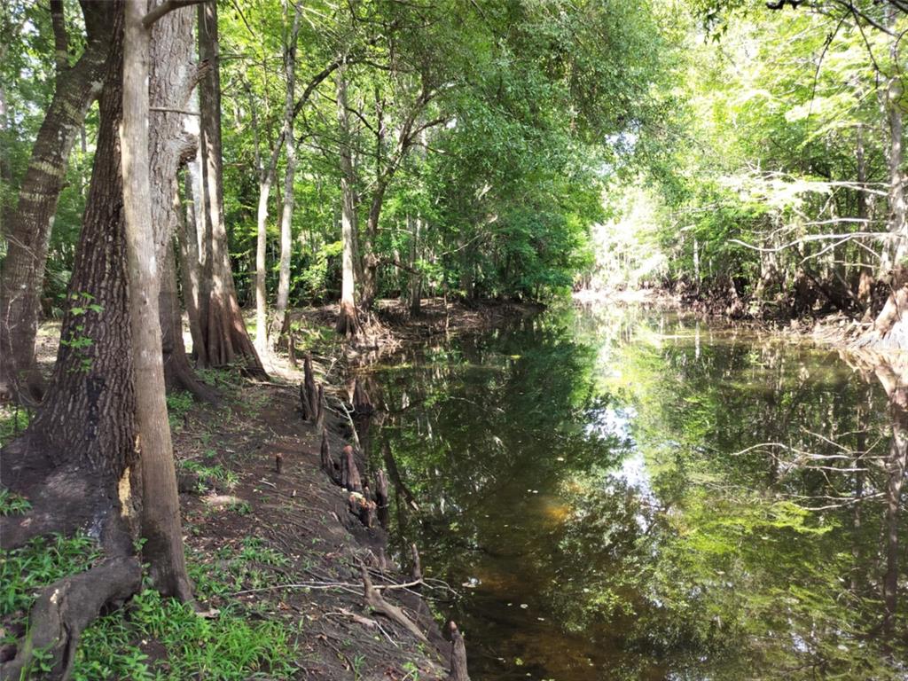 523 S TUCK POINT, INVERNESS, FL — photo 5 of 28