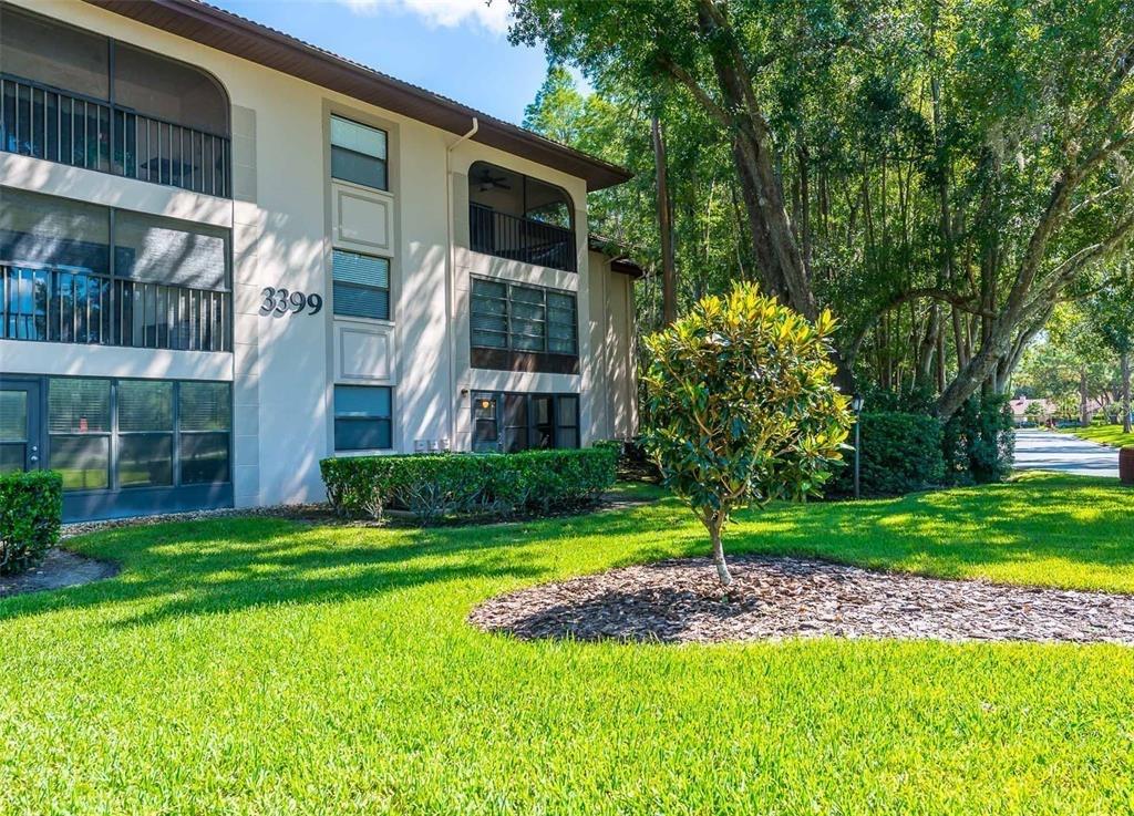 A three-story apartment building with screened balconies stands behind a manicured lawn and tree — 3399 MERMOOR DRIVE UNIT 206, PALM HARBOR, FL