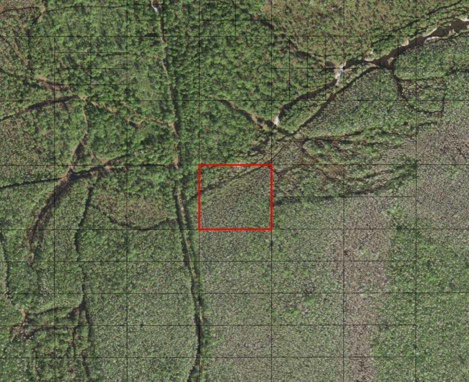 An aerial map view shows a red-outlined square plot of land within a forested area — 0 Holopaw Groves Road, FL 34772, FL