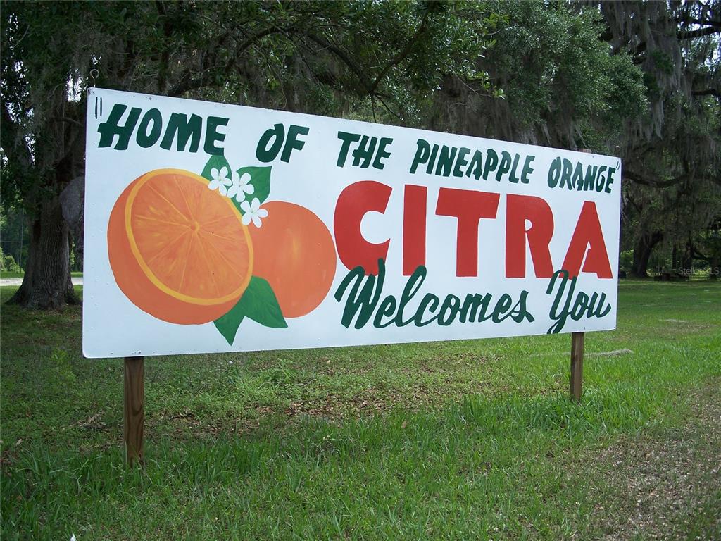 A rectangular sign in a grassy area reads Home of the Pineapple Orange Citra Welcomes You — 0000 NE 164TH PLACE E, CITRA, FL