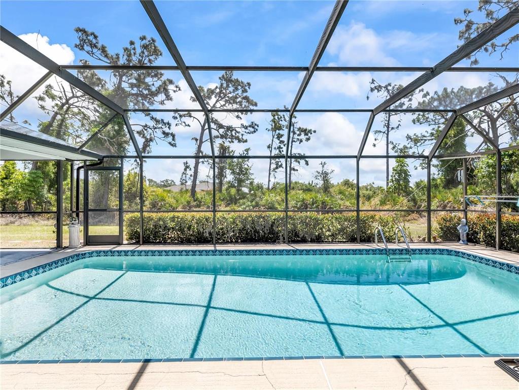 A rectangular swimming pool enclosed by a screened lanai overlooking a wooded area — 6170 DAVID BOULEVARD, PORT CHARLOTTE, FL