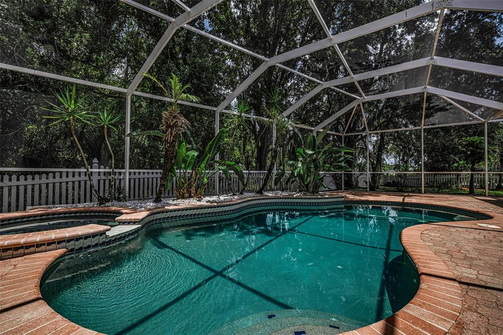 A screened-in swimming pool and spa surrounded by a brick deck and lush landscaping — 3052 SUNWATCH DRIVE, WESLEY CHAPEL, FL