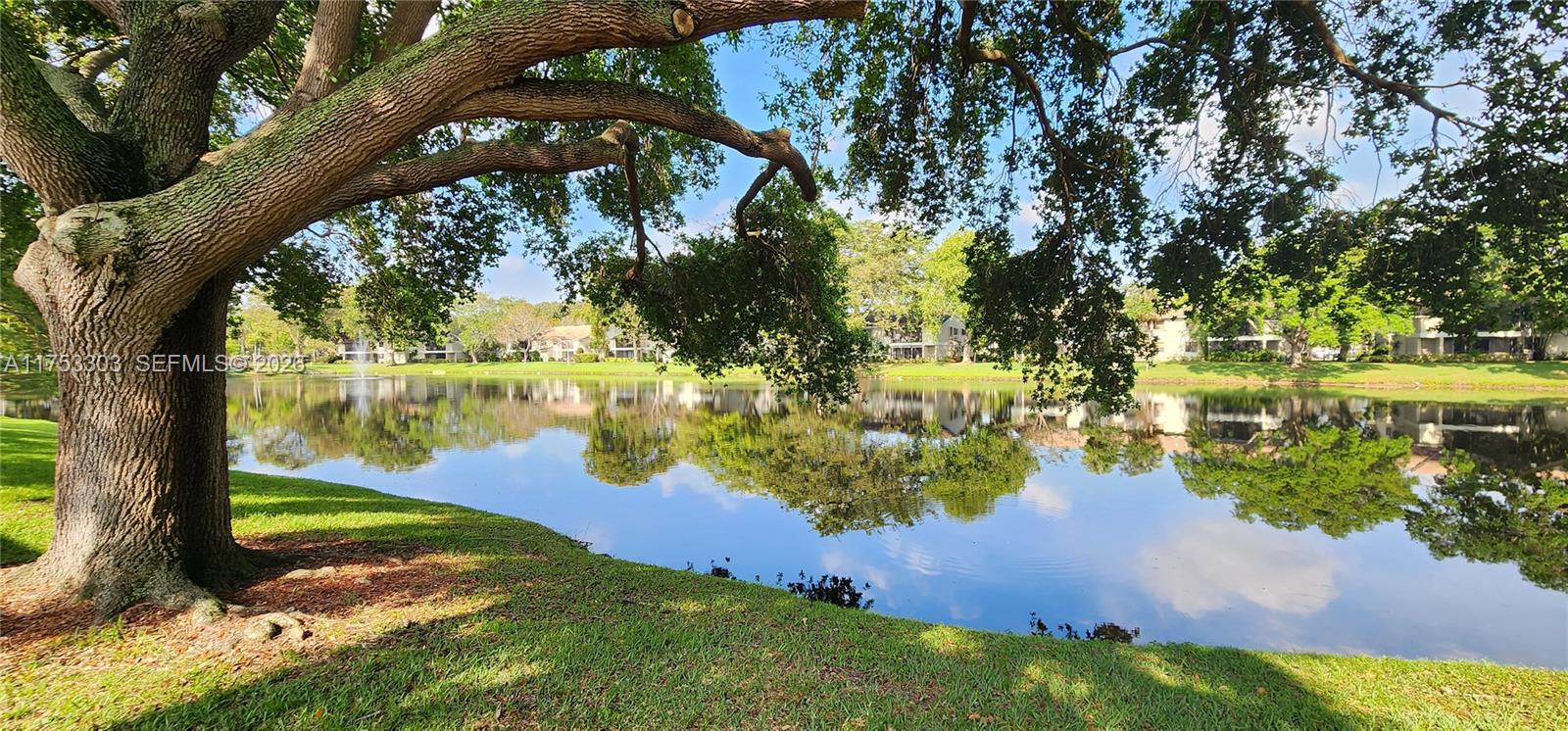 A large oak tree shades a grassy bank overlooking a calm lake and distant buildings — 111 Gardens Dr # 203, Pompano Beach FL 33069, POMPANO BEACH, FL