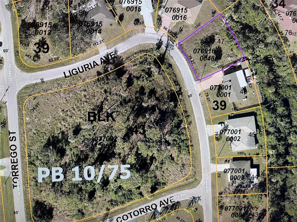 This is a property map showing land parcels, street names, and lot dimensions — LOT 47 ORDUNA DRIVE, NORTH PORT, FL