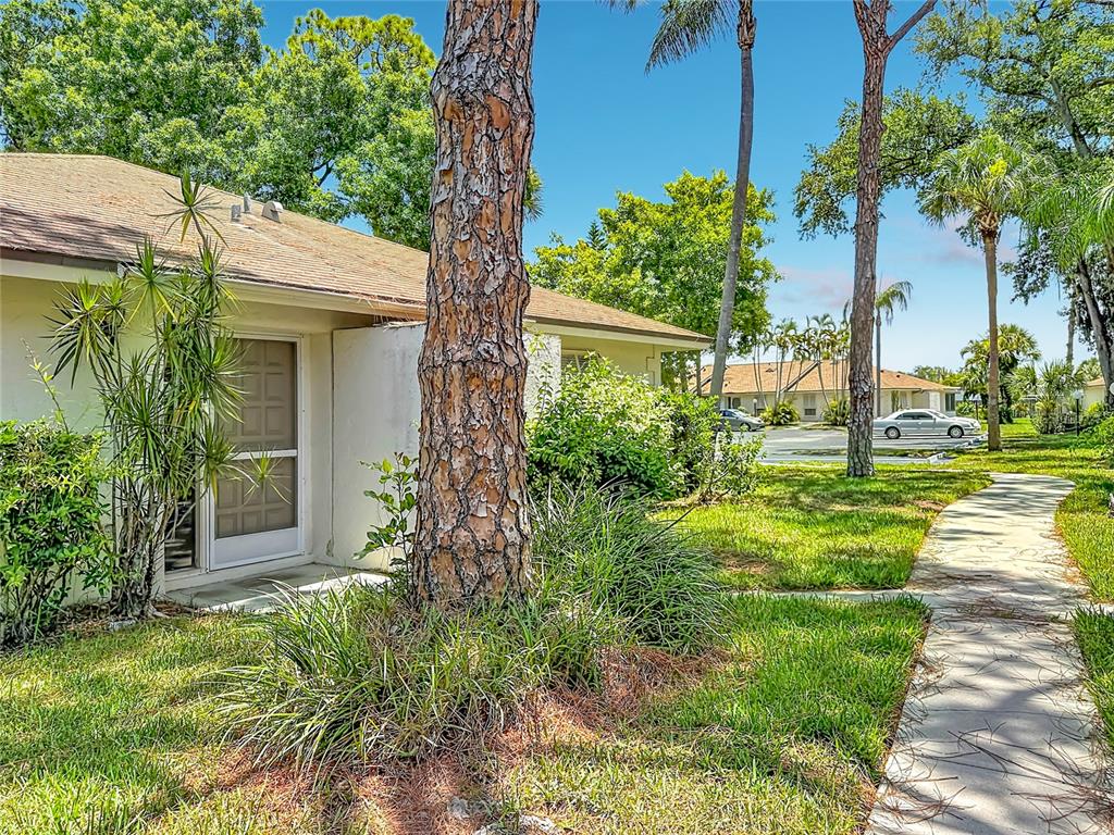 A view of a building exterior with a sidewalk, palm trees, and a screen door — 5354 ROYAL PALM AVENUE UNIT 5354, SARASOTA, FL