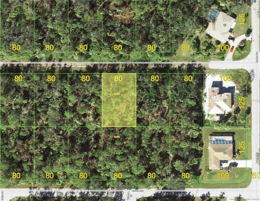 This is a map showing a grid of residential land parcels with lot dimensions — 18119 GRACE AVENUE, PORT CHARLOTTE, FL