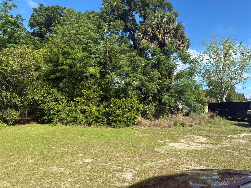 A grassy lot features dense trees and a black trailer parked on the right side — 3752 N ORANGE BLOSSOM TRAIL, MOUNT DORA, FL