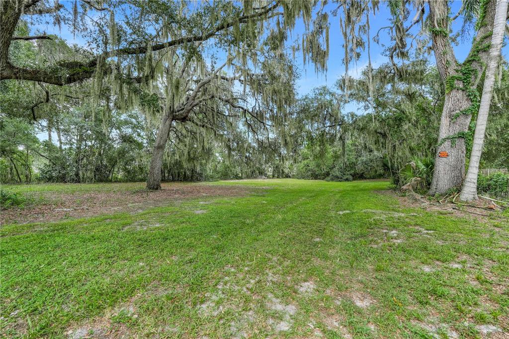 A grassy, open lot is surrounded by large, moss-draped oak trees under a blue sky — SELMAN ROAD, LEESBURG, FL