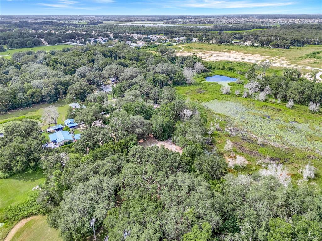 An aerial view shows a wooded property with several houses near a marshy pond — SELMAN ROAD, LEESBURG, FL