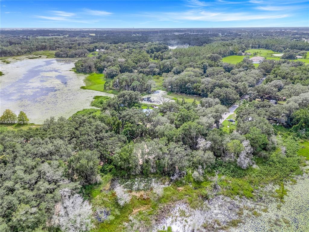 An aerial view shows a house nestled among dense trees beside a large, lily-covered lake — SELMAN ROAD, LEESBURG, FL