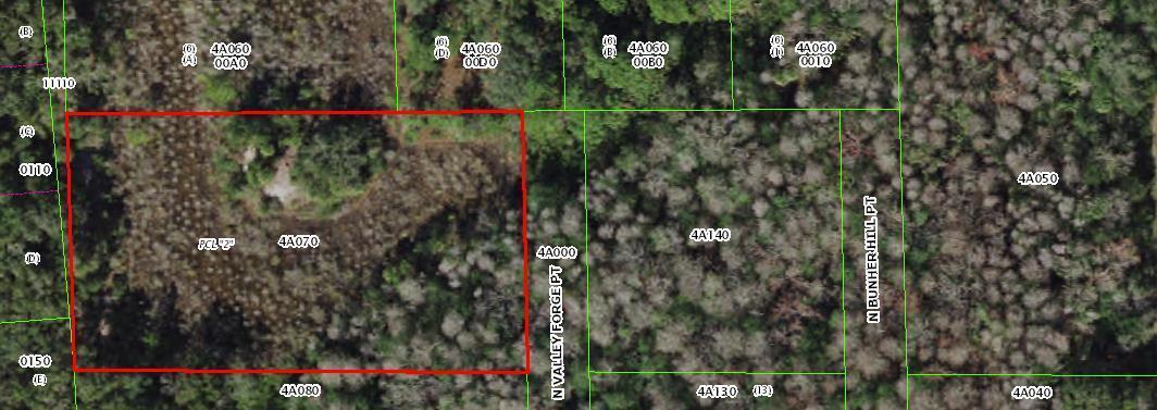 This is a satellite map showing a rectangular parcel of land outlined in red — 916 N Valley Forge Point, FL 34429, FL