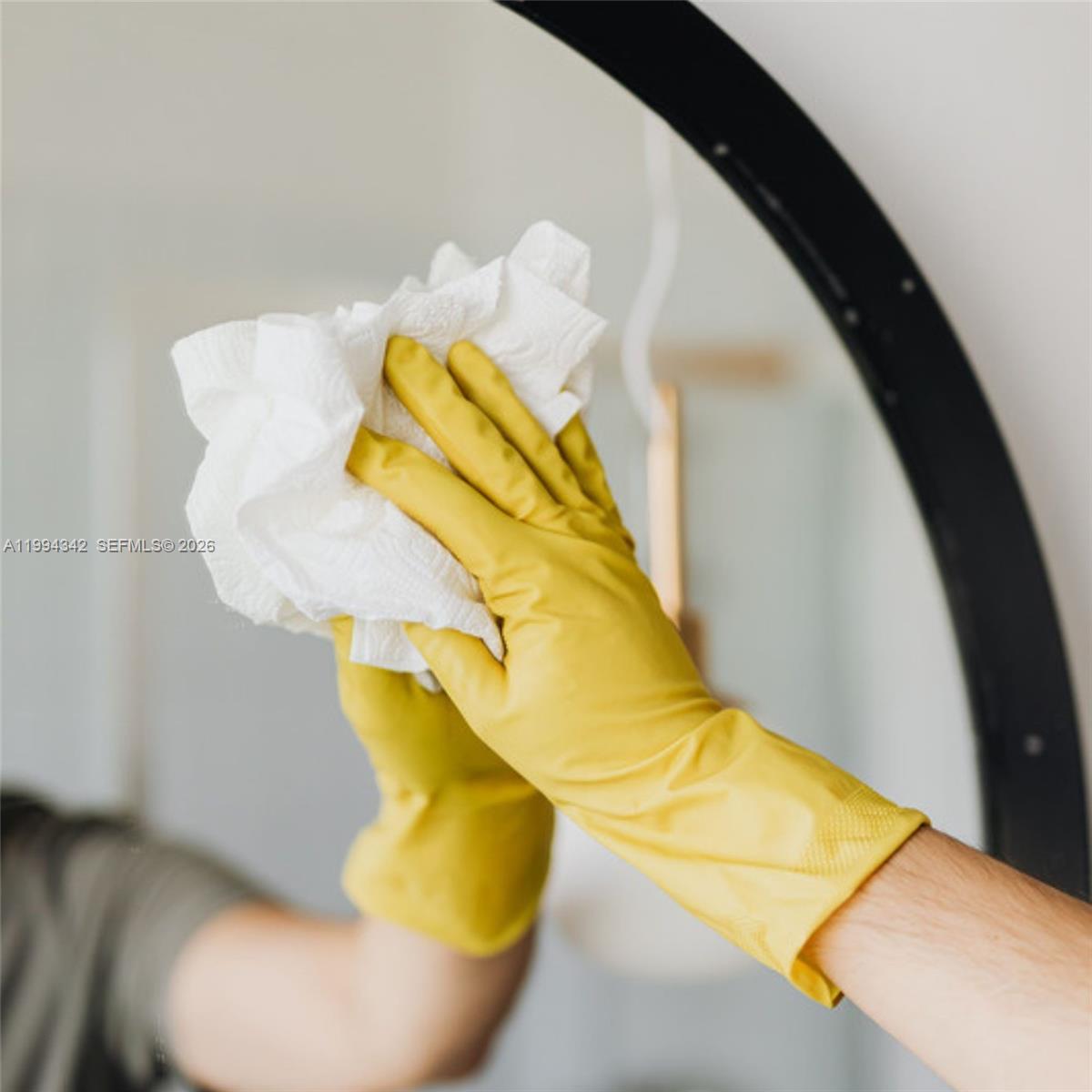 Mirror cleaning — DORAL, FL