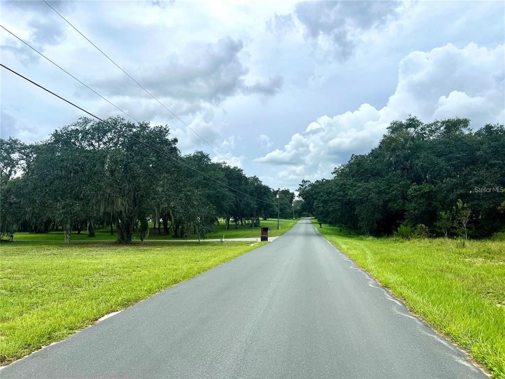 A paved road stretches into the distance between grassy lots lined with mature trees — SIOUX TRAIL, KISSIMMEE, FL