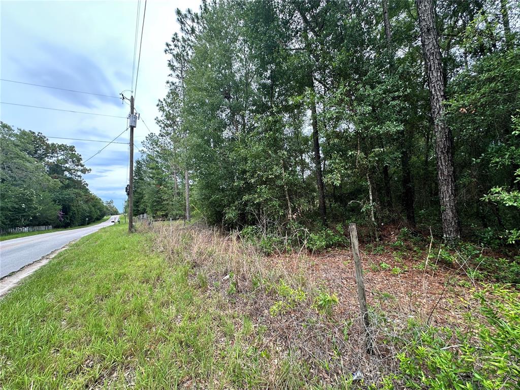 A paved road runs alongside a grassy area bordering a dense wooded lot — TBD NE 65TH LANE, BRONSON, FL