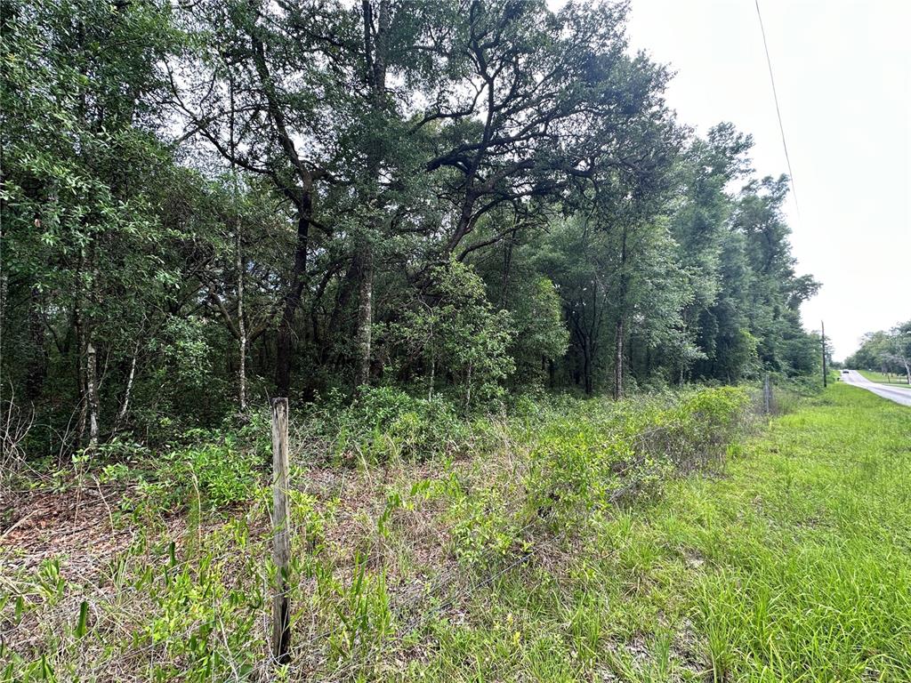 A wooden fence borders a grassy area next to a dense forest and a road — TBD NE 65TH LANE, BRONSON, FL