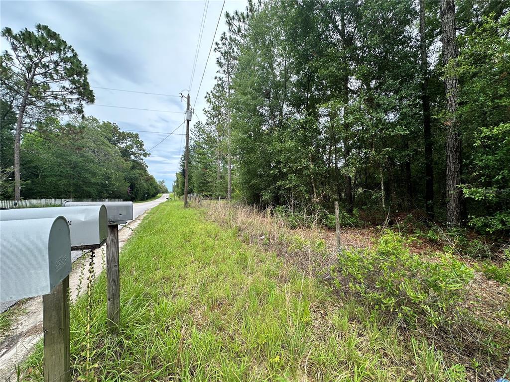 A roadside view featuring two mailboxes in the foreground and a wooded area beyond — TBD NE 65TH LANE, BRONSON, FL