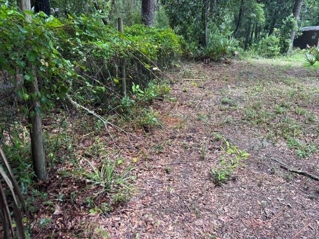 7455 NW 95TH STREET, CHIEFLAND, FL — photo 4 of 13