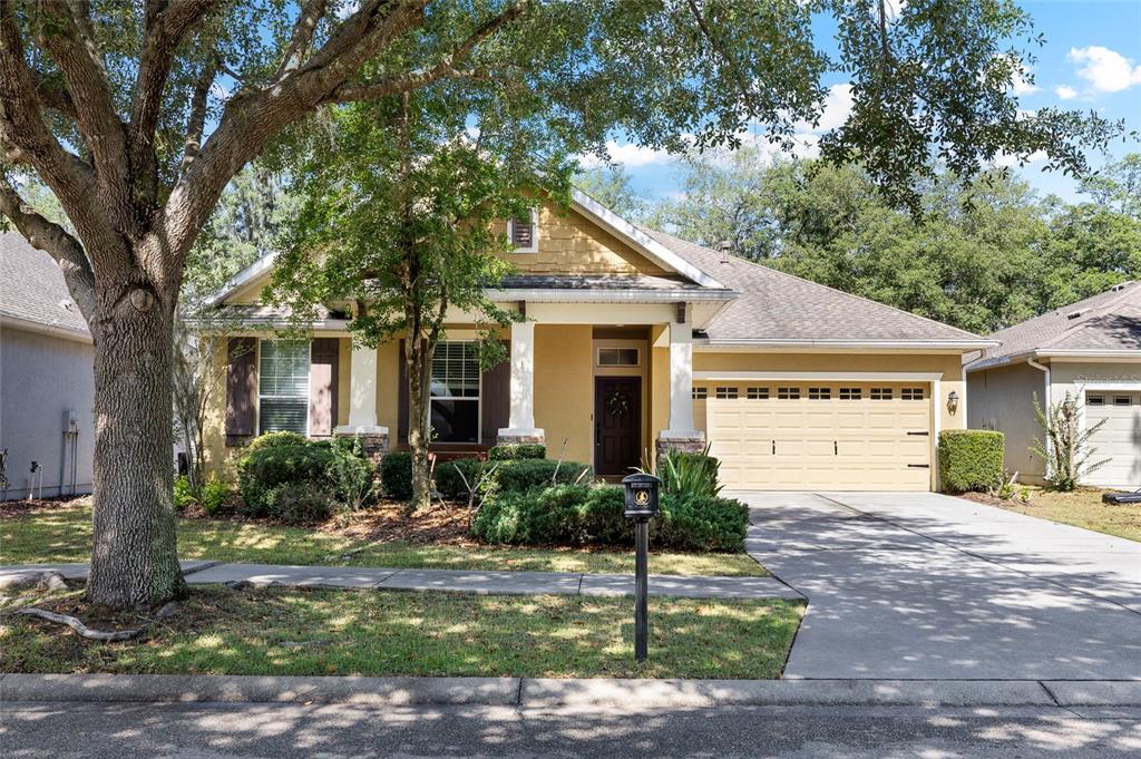 15841 STARLING WATER DRIVE