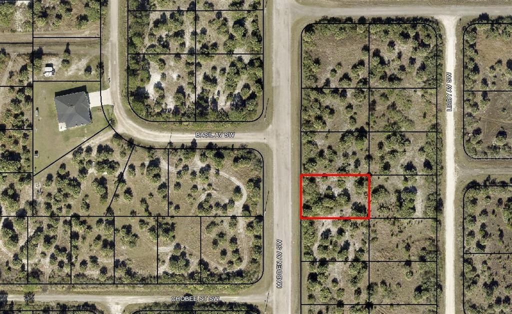 This is an aerial map showing a vacant lot outlined in red — 2919 MADDEN AVENUE SW, PALM BAY, FL