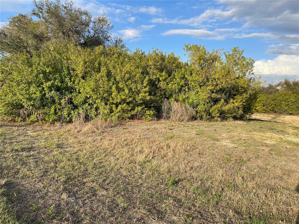 A grassy, open lot features a dense line of trees and shrubs under a blue sky — Lot #9 S LIPSCOMB STREET, NORTH PORT, FL