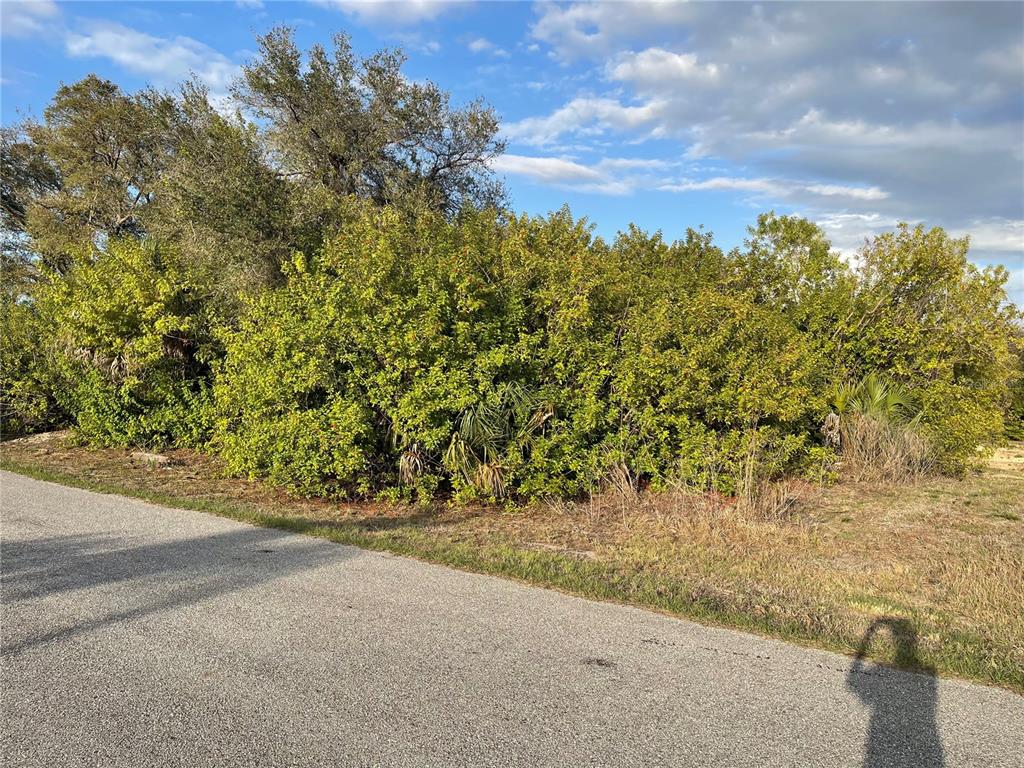 A paved road runs alongside a plot of land densely covered with trees and shrubs — Lot #9 S LIPSCOMB STREET, NORTH PORT, FL