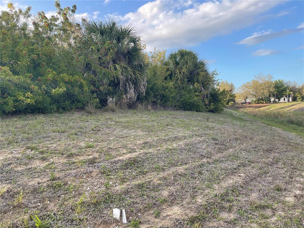 A grassy, undeveloped lot features scattered vegetation and several tall palm trees under a sky — Lot #9 S LIPSCOMB STREET, NORTH PORT, FL